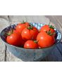 Tomato 'Matina' 