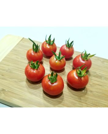 Tomato 'Resi Pink' 