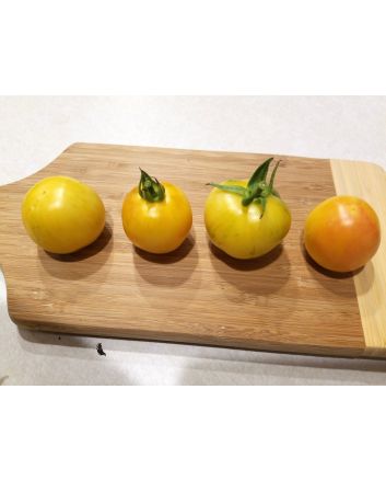 Tomato 'Topaz' AKA 'Huan U'