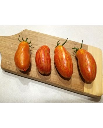 Tomato 'Casady's Folly' Seeds (Certified Organic) 