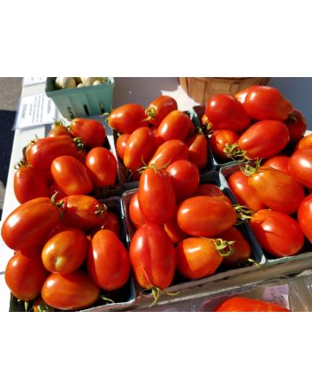 Tomato 'Heidi' 