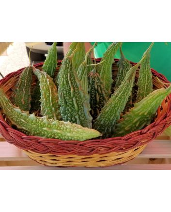 Bitter Melon Seeds (Naturally Grown)