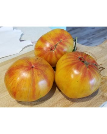 Tomato 'Copia' 