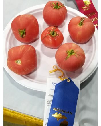 Tomato 'Pink Furry Boar' Seeds (Naturally Grown)