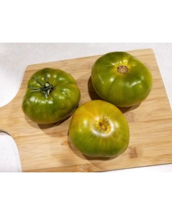 Tomato 'Moldovan Green' 