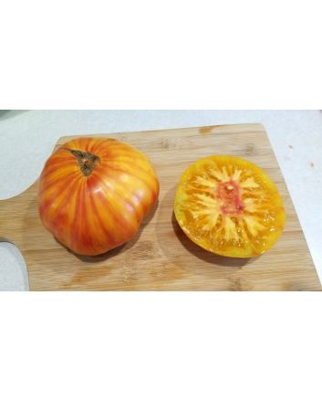 Tomato 'Copia' 