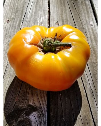Tomato 'Striped German' 