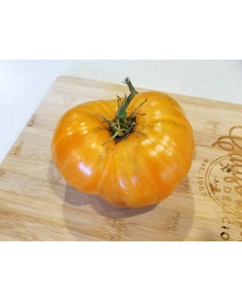 Tomato 'Orange Jazz' 
