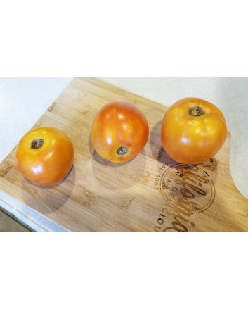 Tomato 'Long Keeper' 