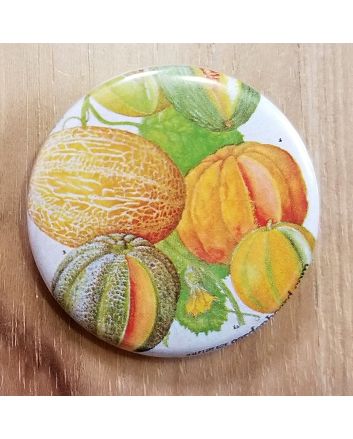 Cantaloupe Pinback Button