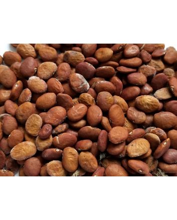 Brown Tepary Bean ‘Wepegi Bawi’