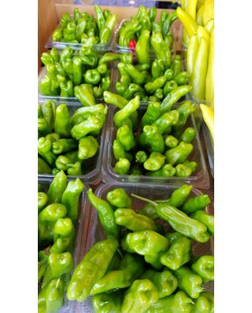 Pepper MILD 'Shishito' Plant