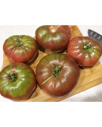 Tomato 'Black Elephant' 