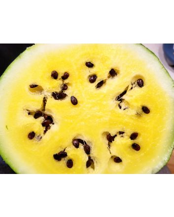 Watermelon 'Early Moonbeam'