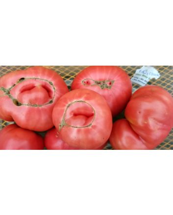 Tomato 'Purple Dog Creek' 