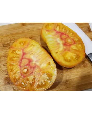 Tomato 'Beauty King' 