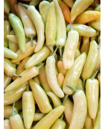 Banana Pepper 'Sweet Banana' Seeds (Naturally Grown)