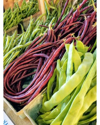 Pole Yard Long Bean 'Chinese Red Noodle' 