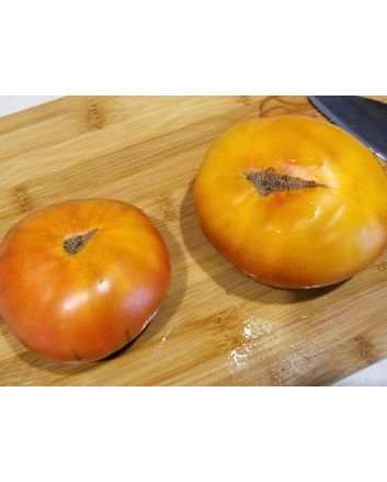 Tomato 'Lucid Gem' Seeds