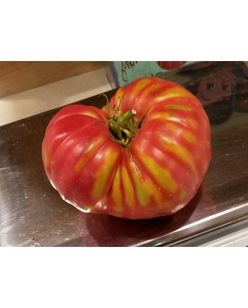 Tomato 'Church' 