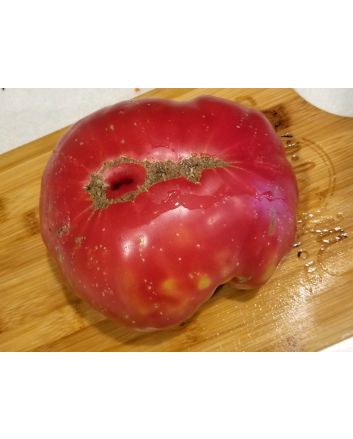 Tomato 'Church' 