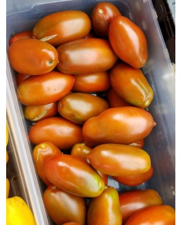 Tomato 'Black Icicle' Seeds (Naturally Grown) 