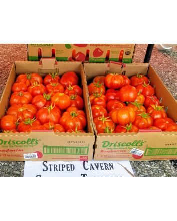 Tomato 'Striped Cavern' Seeds (Naturally Grown)