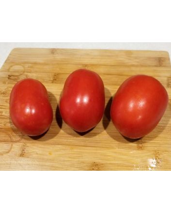 Tomato 'Heinz Super Roma' 