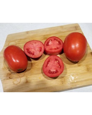 Tomato 'Heinz Super Roma' 