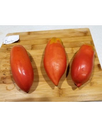 Tomato 'Opalka'