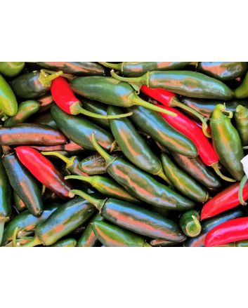 Hot Pepper ‘Serrano’ Seeds (Naturally Grown) 