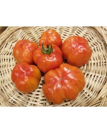 Tomato 'Striped Cavern' Seeds (Naturally Grown)