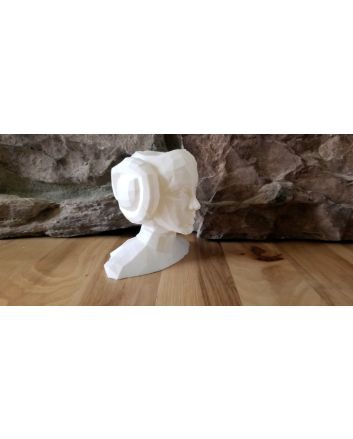 Star Wars Princess Leia 3D Printed Planter