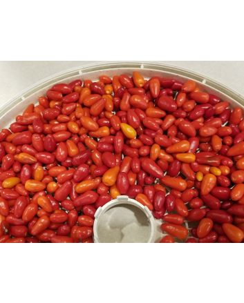 Hot Pepper ‘Pequin’ 