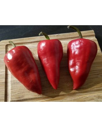 Hot Pepper ‘Chilhuacle Rojo' Seeds (Naturally Grown)