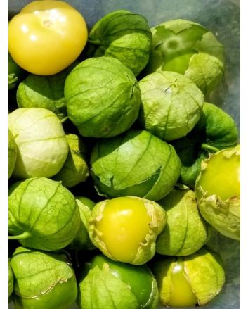 Tomatillo 'Amarylla' Seeds