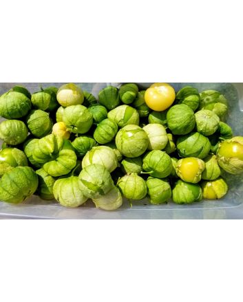 Tomatillo 'Grande Rio Verde' 