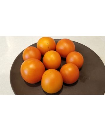 Tomato 'Jaune Flamme'