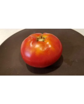 Tomato 'Moskvich' Seeds (Naturally Grown)