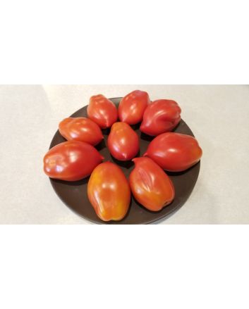 Tomato 'Ropreco Paste' Seeds (Certified Organic)