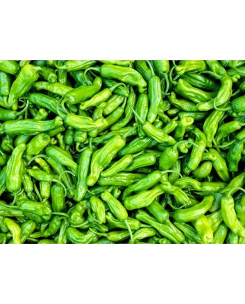 Pepper 'Shishito' Seeds (Certified Organic)