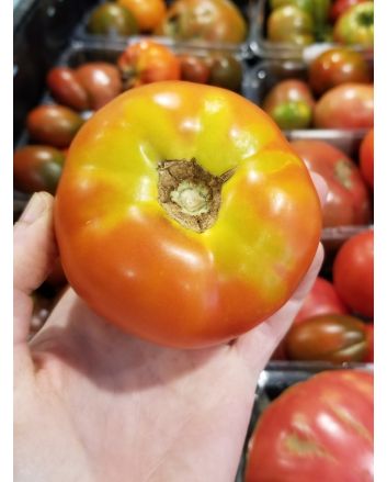 Tomato 'Cannonball' Seeds (Naturally Grown)