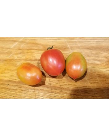 Tomato 'Principe Borghese'