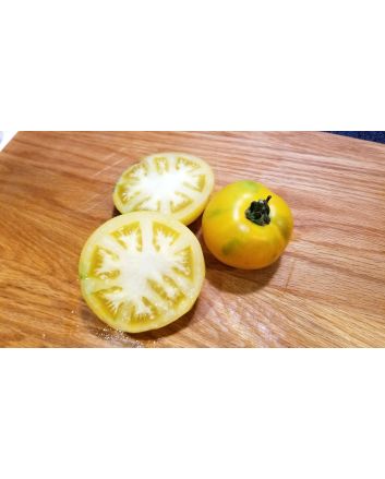 Tomato 'Lemon Boy F2' 