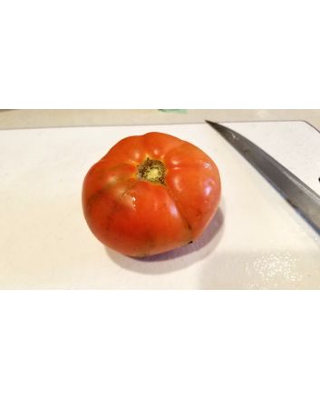 Tomato 'Carmello'