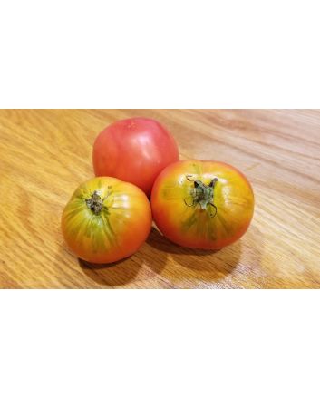 Tomato 'Variegated' AKA 'Splash of Cream'