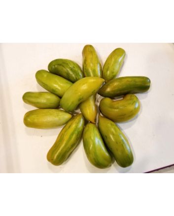 Tomato 'Green Sausage' Seeds (Naturally Grown)
