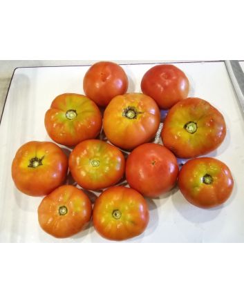Tomato 'Cannonball' Seeds (Naturally Grown)