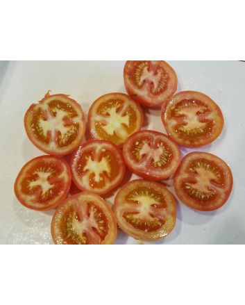 Tomato 'Moneymaker'