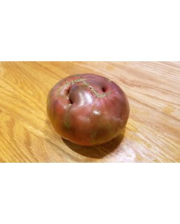 Tomato 'Pierce's Pride' Seeds (Naturally Grown)